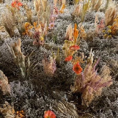 jardin fleuri