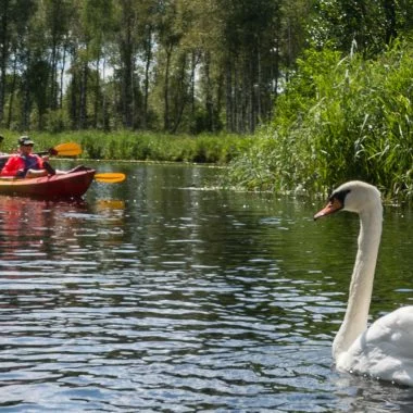 moulin-wantzenau-canoe03