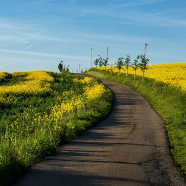 South Moravia landscape and farmland in the spring with rapeseed in the fields.